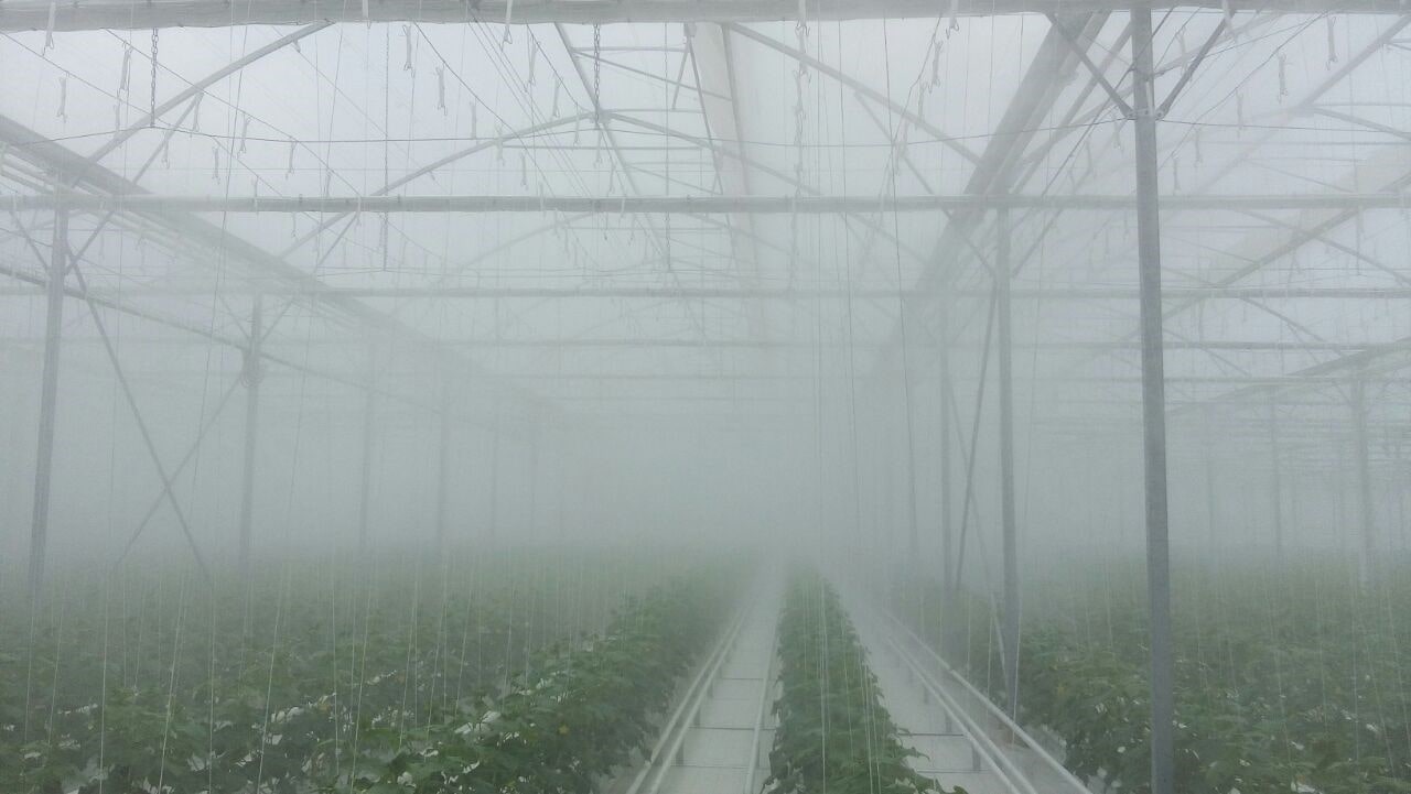 برطرف کردن مه گرفتگی در گلخانه ها به کمک افزودنی آنتی فاگ